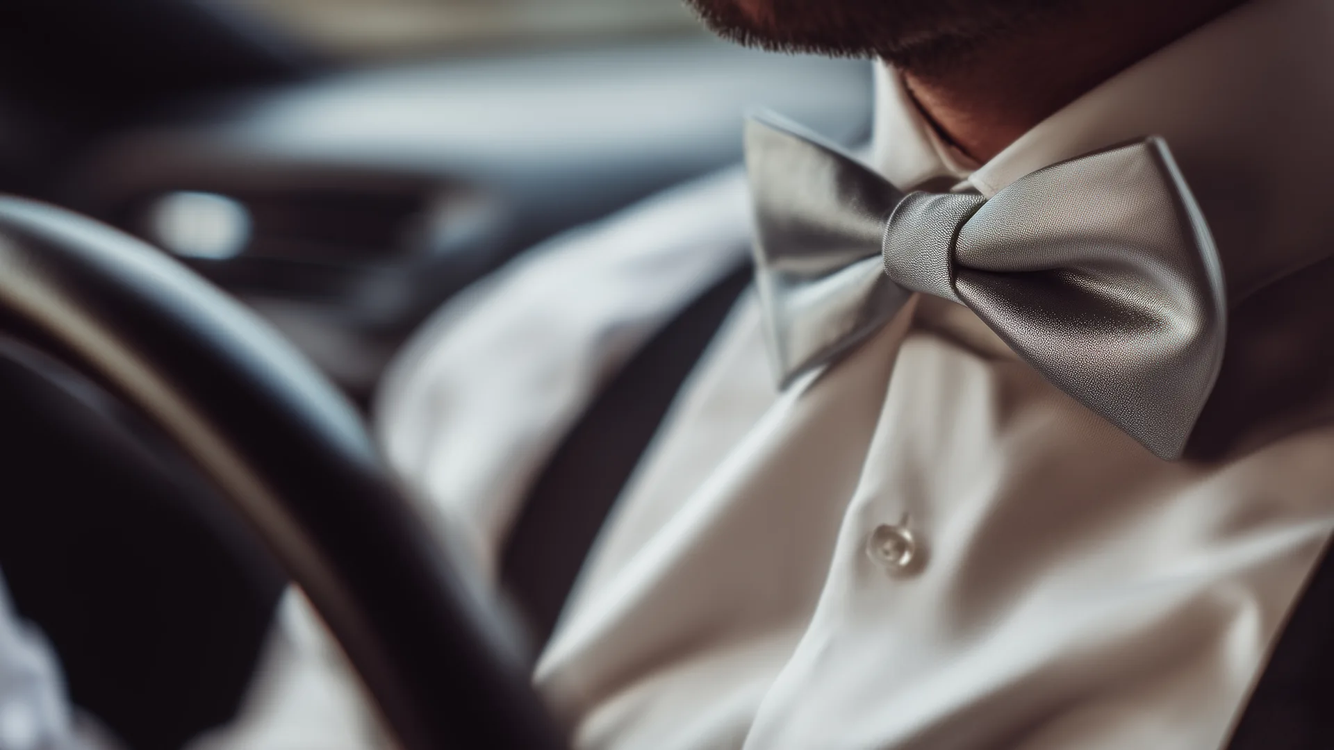 Motorista Silver Bow Tie
