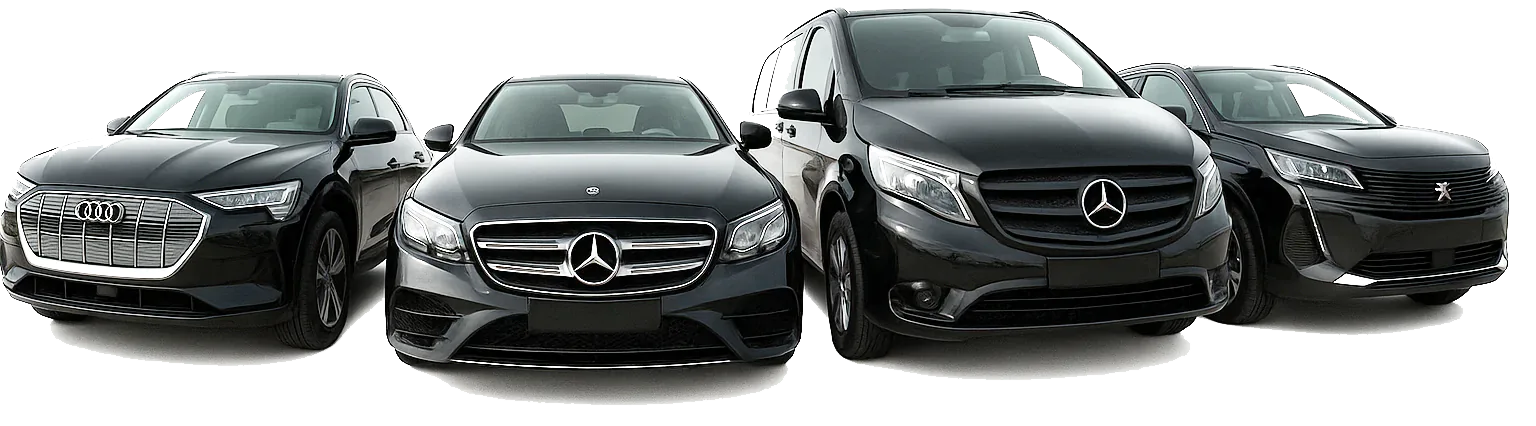 Frota Silver Bow Tie